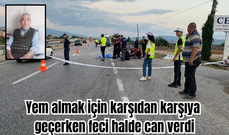 Yem almak için karşıdan karşıya geçerken feci halde can verdi