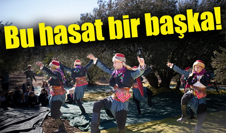 FESTİVAL HAVASINDA ZEYTİN HASADI ŞENLİĞİ 