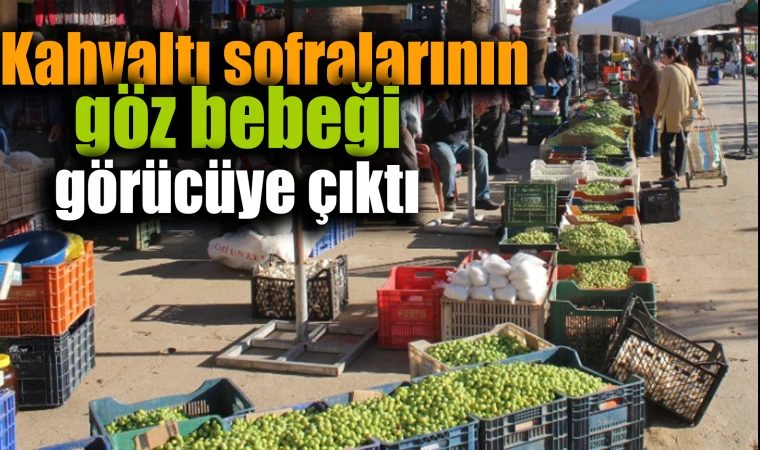 Zeytinler pazarda görücüye çıktı