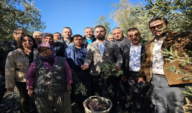 CHP’den zeytin tepkisi!