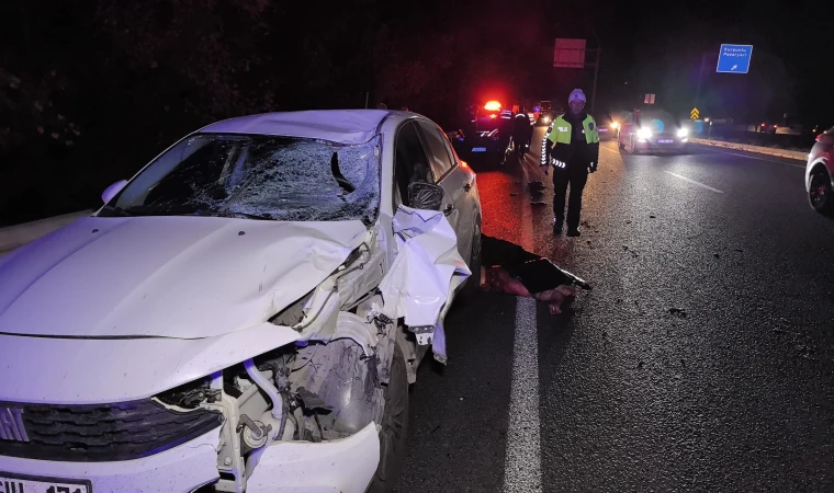 Kanseri yenen doktor trafik kazasında hayatını kaybetti