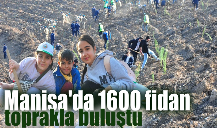 Manisa'da 1600 fidan toprakla buluştu