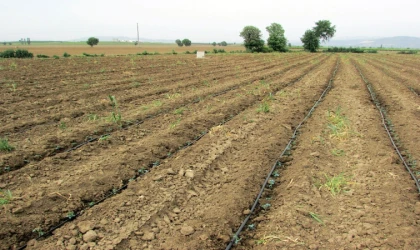 Tarımsal girdi maliyetlerinde yıllık yüzde 41,6 artış