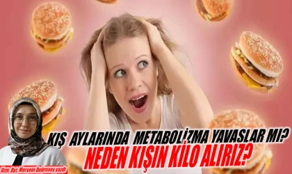 KIŞ AYLARINDA METABOLİZMA YAVAŞLAR MI? NEDEN KIŞIN KİLO ALIRIZ?